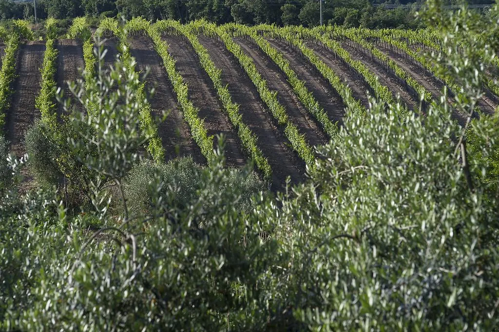 Tenuta La Tabaccaia La Pesta 0*,  Ιταλία